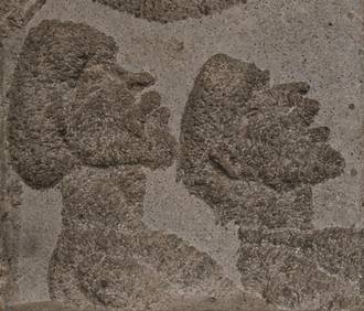 Quelle: © VG Bild und Kunst, Bonn, Foto: Norbert Kasper